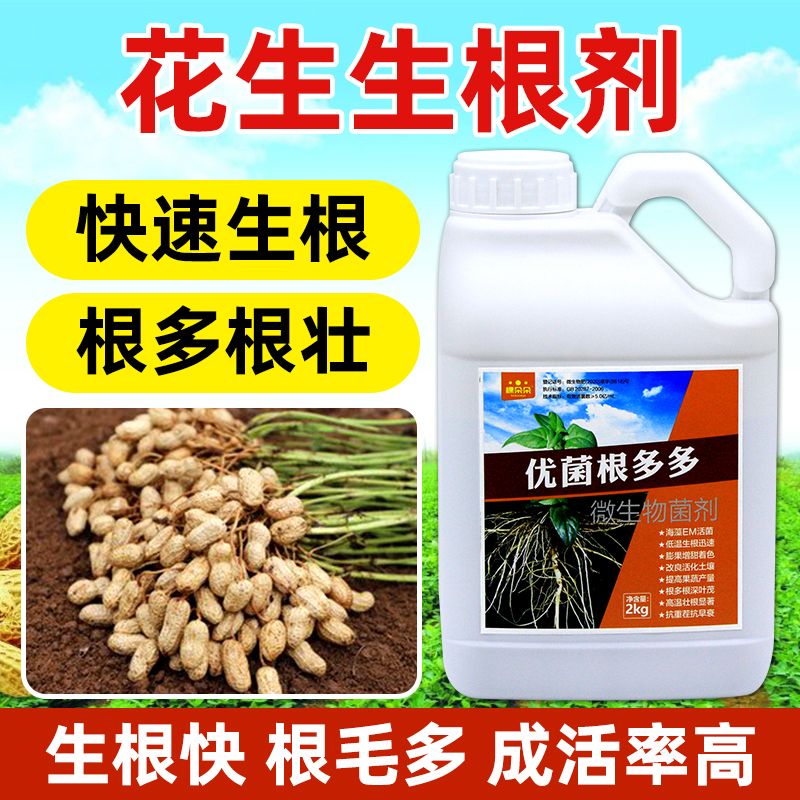 花生生根剂根多多生根壮苗剂快速发根专用微生物菌剂花生苗营养液