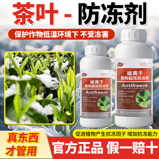 茶叶防冻剂植物防冻剂防寒抗冻液防冻液红茶绿茶毛尖抗寒叶面肥药
