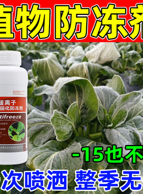植物防冻剂抗寒防冻液果树蔬菜小麦大蒜油菜辣椒茶叶柑橘抗冻剂
