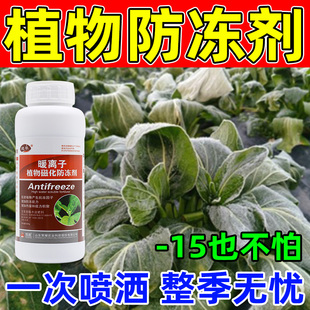 植物防冻剂抗寒防冻液果树蔬菜小麦大蒜油菜辣椒茶叶柑橘抗冻剂