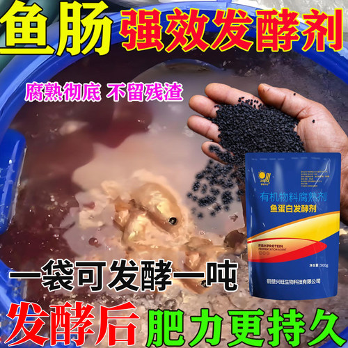 鱼蛋白发酵剂鱼泡化渣宝鱼杂酶解粉鱼肠腐熟剂自制有机氨基酸水肥