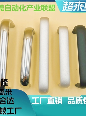 XAP06-A16-L60/L80/L100/L128/L160-H38铝合金内装C型椭圆形拉手