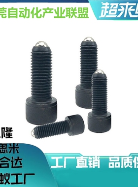 内六角螺栓型球头柱塞 BPRL5/ BPRL6/BPRL8-15/20/25/30