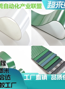 SHBLTG/SHBLT/YSBLGN/YSBLWN平皮带/PU/聚氨酯-滑动