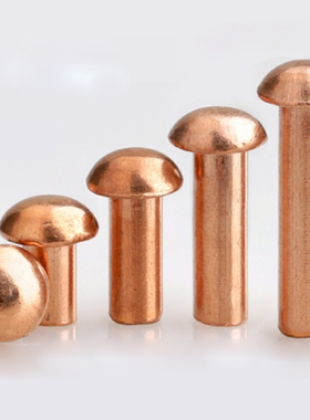 圆帽实心紫铜锚钉铜卯钉铆钉紫铜毛钉纯铜铆钉圆头实心式实心柳丁