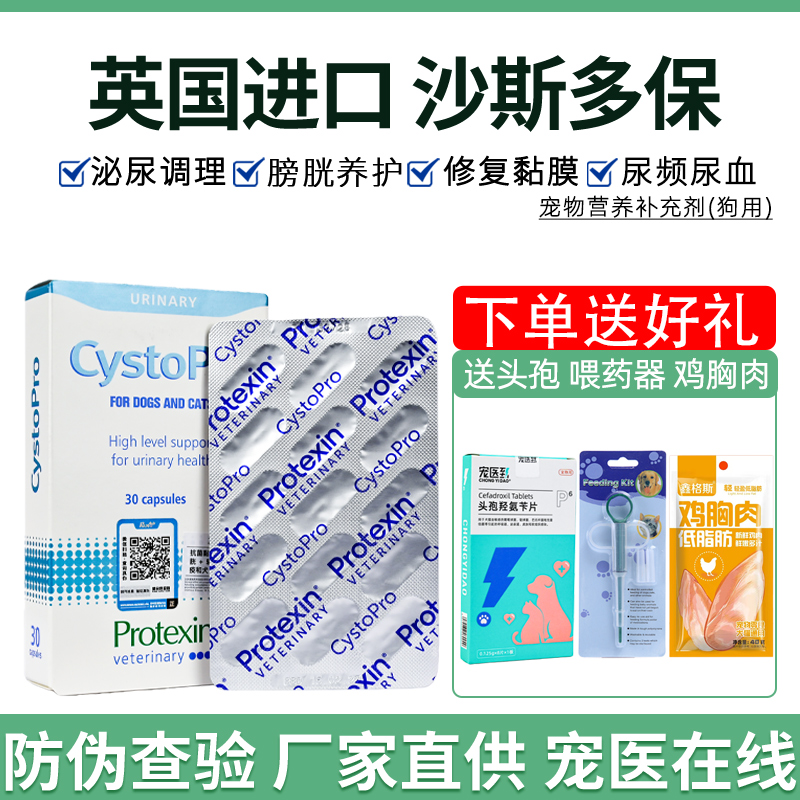 沙斯多保宠物狗泌尿感染膀胱修复