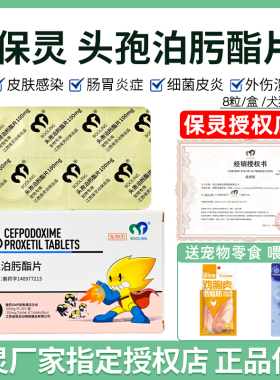 保灵沃贝舒头孢泊肟酯片猫狗宠物消炎药感冒鼻支细菌皮肤泌尿炎症