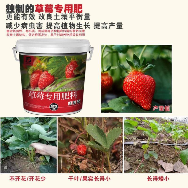 草莓肥料专用肥有机肥家用室内营养液复合k肥料水溶
