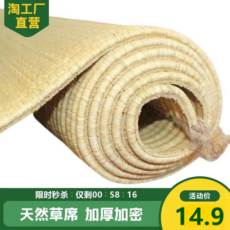 草席凉席学生加厚宿舍家用床垫图片