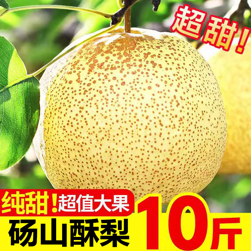 安徽砀山梨汤山梨10斤水果新鲜应季现摘整箱包邮正宗酥梨香雪梨子