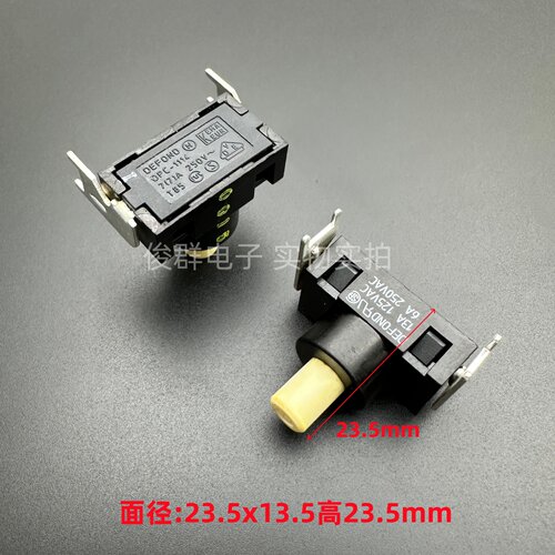 DEFOND德丰DPC-1114 开关按钮自锁启动按键吸尘器热水器分叉2脚6A