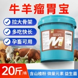 Быки и овца опухоль желудочно желудочно -кишечный желудочно -кишечный тракт