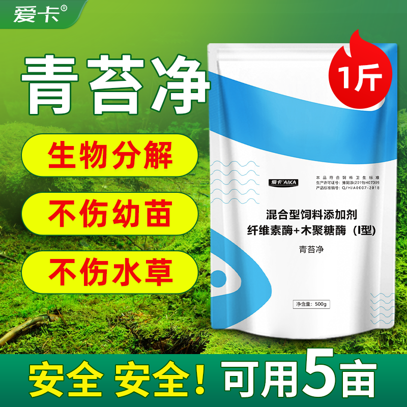 青苔净水产养殖除藻剂青苔生物分解素不伤水草鱼虾蟹塘青苔分解酶-封面