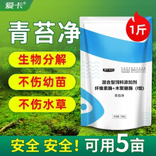 青苔净水产养殖除藻剂青苔生物分解素不伤水草鱼虾蟹塘青苔分解酶