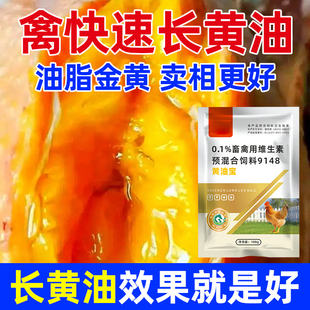 鸡用黄油宝土鸡快速长黄油鸡催肥增重促生长脚黄皮黄油黄羽毛亮
