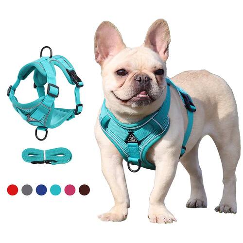 Dog Harness Cat Leashes Collar Bulldog Straps Small Medium D