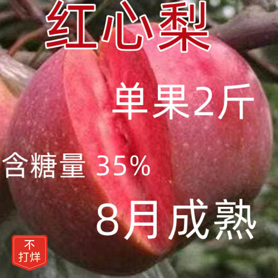 庭院嫁接树苗晚红心梨树苗嫁接红梨苗红皮桃树苗耐寒香梨树南北