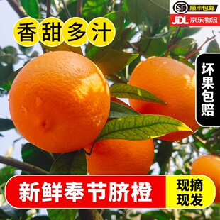 【顺丰包邮】重庆奉节脐橙圆形新鲜精选大果应季水果10斤整箱多汁