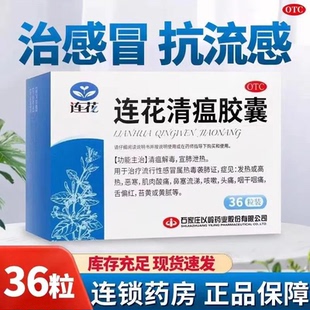 连花 连花清瘟胶囊36粒清瘟解毒宣肺泄热流行性感冒属热毒袭肺证