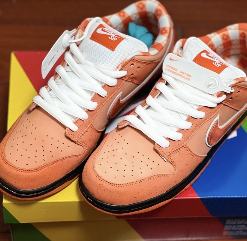 适配Nike SB Dunk Low低帮板鞋橙色橙龙虾白色椭圆鞋带半圆形鞋绳
