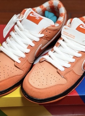 适配Nike SB Dunk Low低帮板鞋橙色橙龙虾白色椭圆鞋带半圆形鞋绳