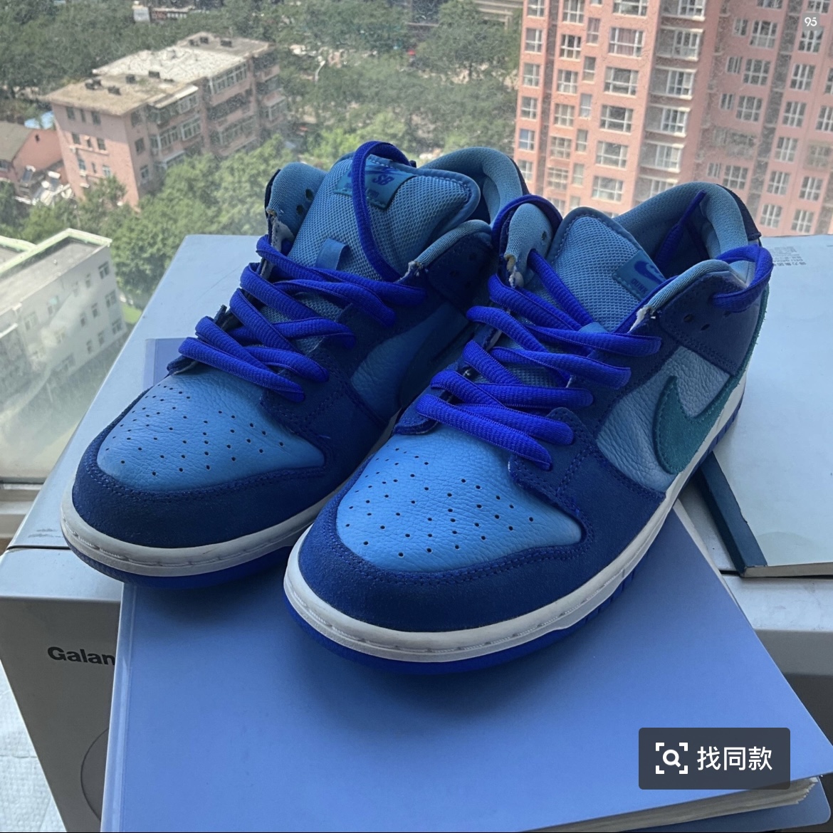 适配Nike sb dunk low pro cherry蓝色树莓蓝椭圆形9mm半圆鞋带