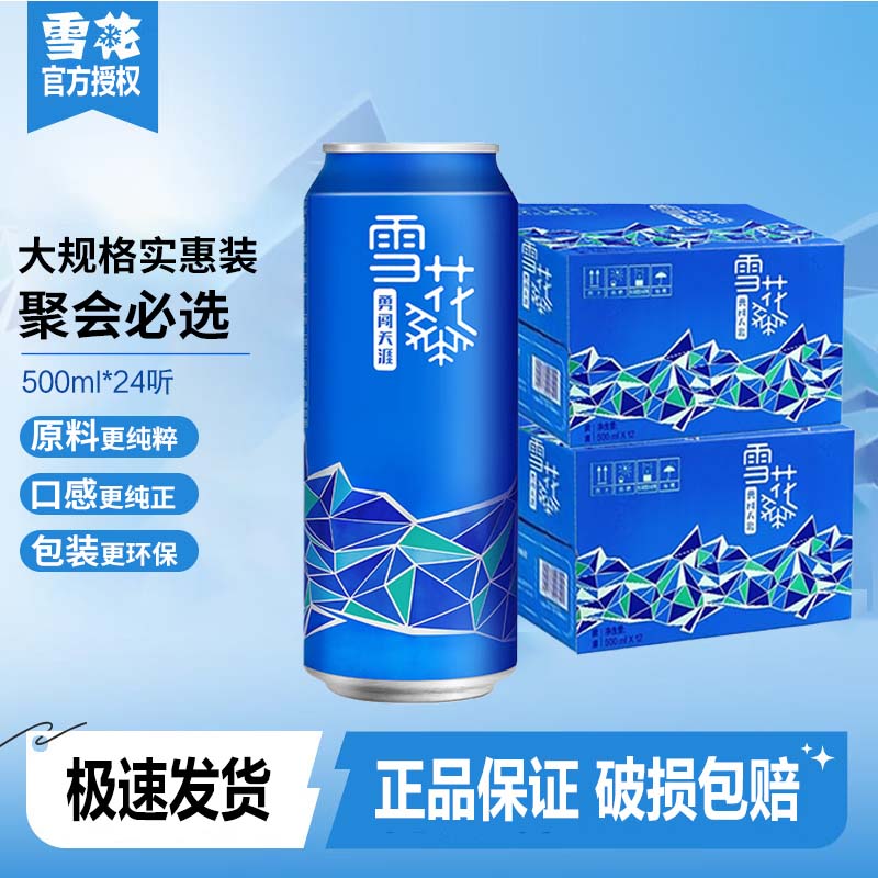 雪花啤酒勇闯天涯9度（概念系列）500ml*12罐*2箱共24罐正品保证