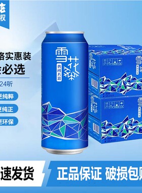 雪花啤酒勇闯天涯9度（概念系列）500ml*12罐*2箱共24罐正品保证