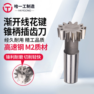 哈一工锥柄插齿刀插齿机插刀外径φ38压力角30度M2 M2.5 M3 M4A级