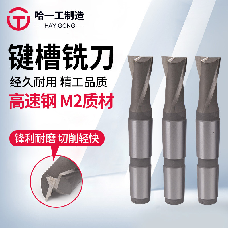 锥柄键槽铣刀高速钢二刃14 16 18 20 22 24 25 26 28哈工铣