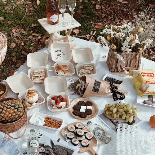 网红野餐用品全套盒子纸浆