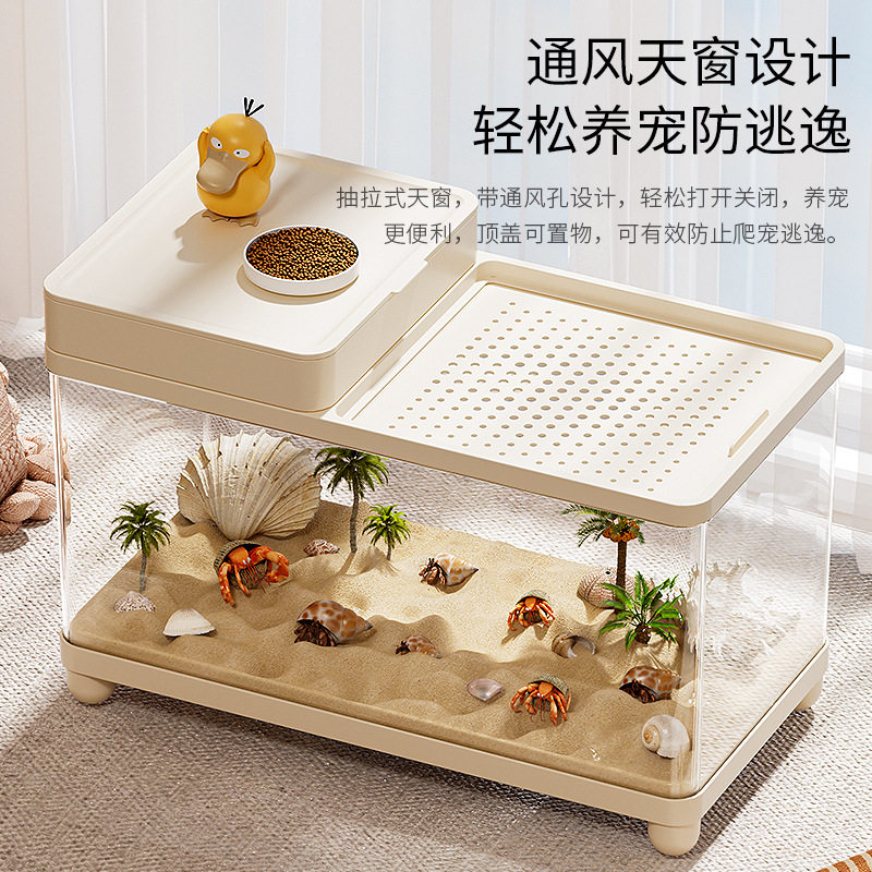 寄居蟹饲养缸生态造景家