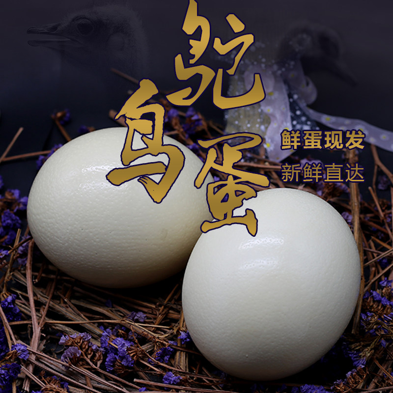 4斤左右鸵鸟蛋顺丰包邮新鲜鸸鹋蛋食用蛋大号驼鸟蛋过节送礼