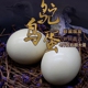 包邮 3.6斤左右鸵鸟蛋 鲜蛋驼鸟蛋送礼雕刻 食用鸸鹋蛋 新鲜顺丰