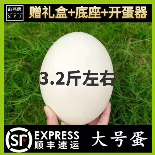 顺丰包邮鸵鸟蛋新鲜营养