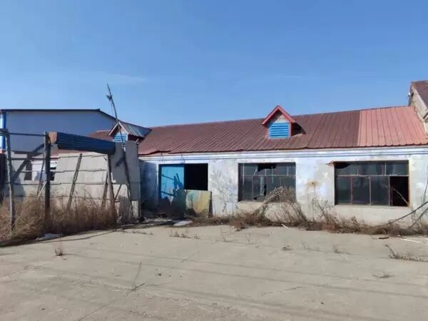 11月16日绥化厂房网络拍卖公告