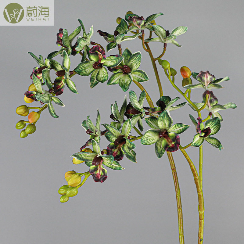 仿真花蝴蝶兰2叉千鸟蜘蛛