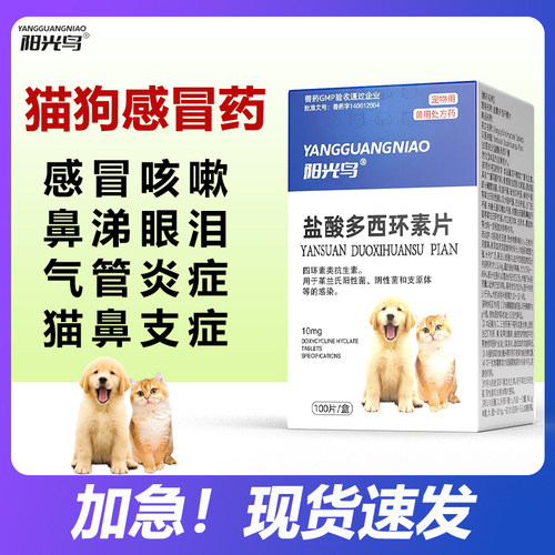 宠物呼吸道感染咳嗽消炎药