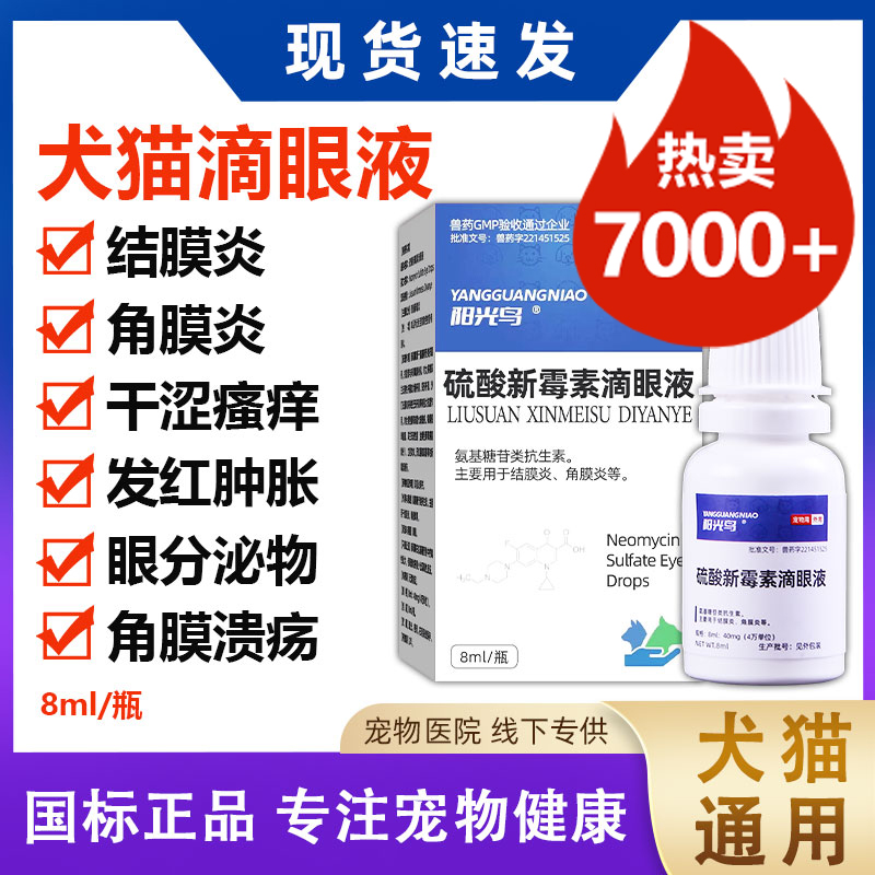 宠物眼药水结膜炎角膜炎发红