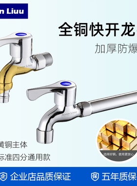 Nann Liuu 家用洗衣机水龙头加厚加长快开龙头入墙式拖把池水龙头