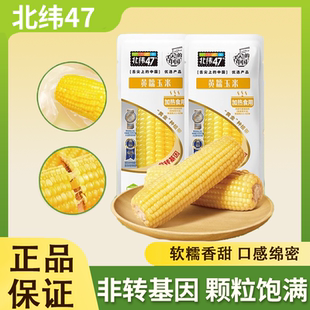 北纬玉米47度白糯黄糯黑糯花糯水果多种类软糯香甜糯玉米真空包装