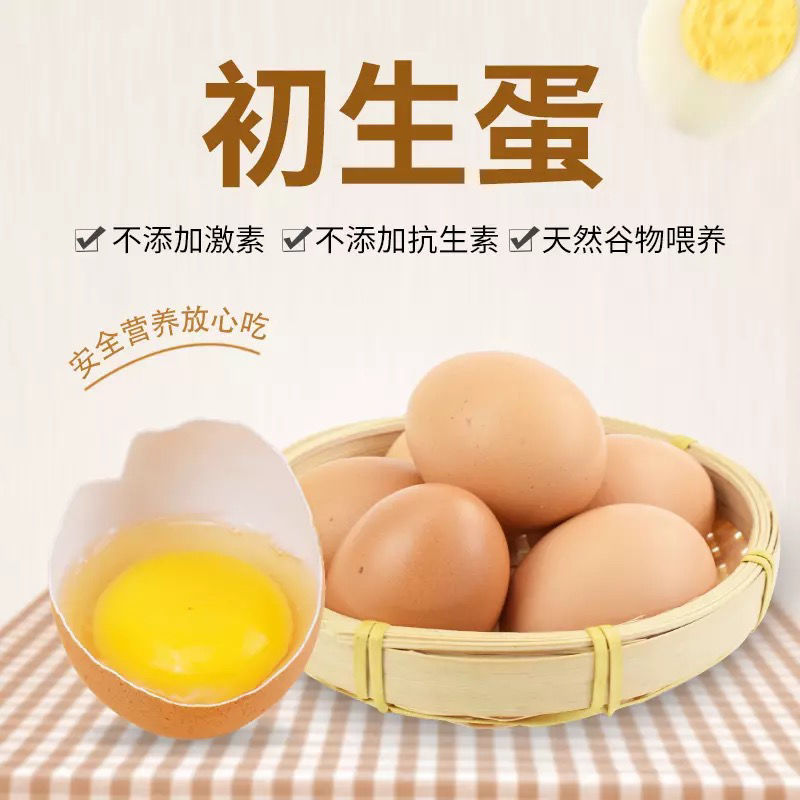 【农家现发】新鲜散养10枚正宗土鸡蛋