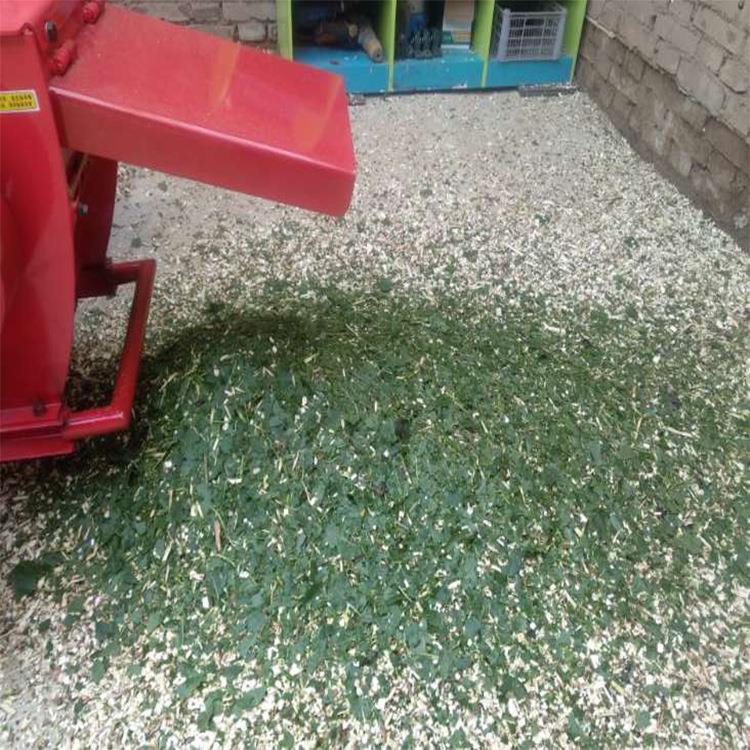 果园树枝回田粉碎机鲜树枝青竹子破碎机秸秆粉碎木糠机