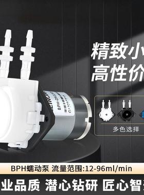 雷熔微小流量BPH蠕动泵自吸滴定12V有刷立式实验室抽水循环泵头