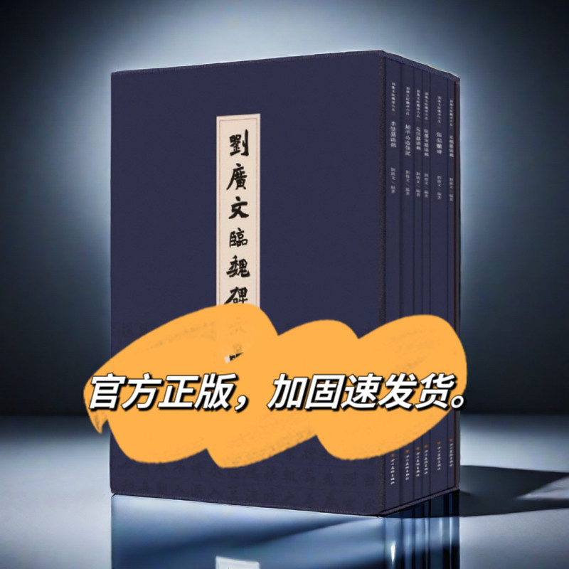 赠送通临6张视频刘广文临魏碑六品张猛龙碑张黑女墓志铭李璧墓志铭元桢墓志铭元倪墓志铭始平公造像记毛笔书法字帖魏碑作品集字帖