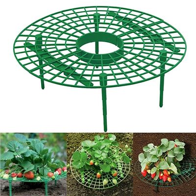 5/10pcs Green Strawberry Planting Rack with 3 Sturdy Stands
