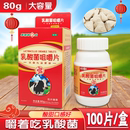 乳酸菌咀嚼片100片嚼着吃 益生菌片儿童成人多种有益菌80g大容量