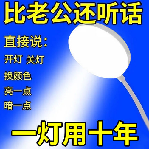 智能语音台灯led小夜灯护