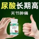 尿酸清正品 芹菜籽栀子菊苣蒲公英普通植物提取物