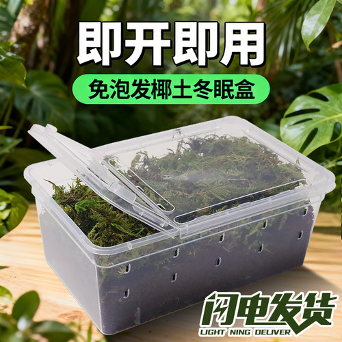 乌龟冬眠盒爬宠饲养盒